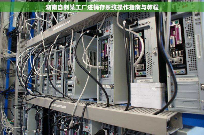 湖南自制某工厂进销存系统操作指南与教程