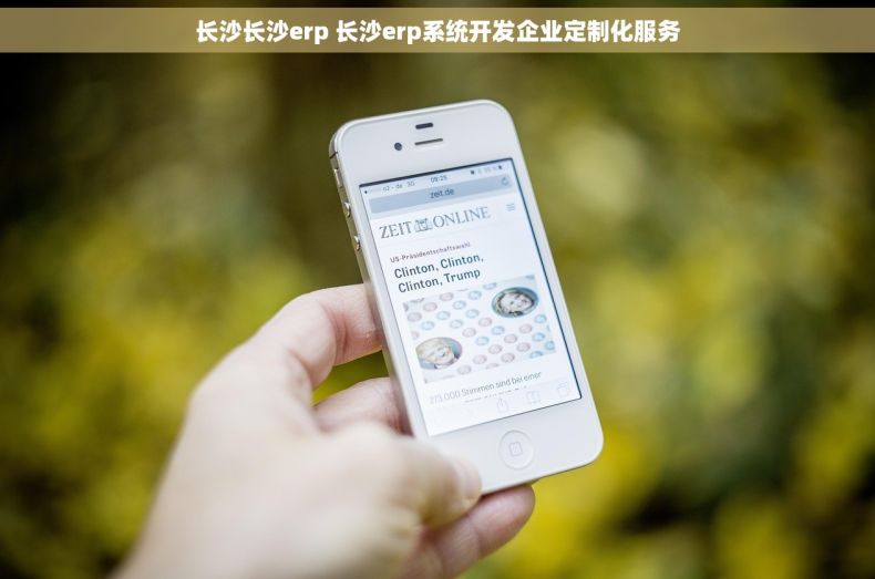 长沙长沙erp 长沙erp系统开发企业定制化服务