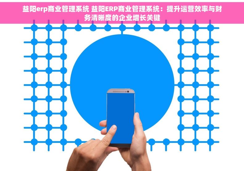 益阳erp商业管理系统 益阳ERP商业管理系统：提升运营效率与财务清晰度的企业增长关键