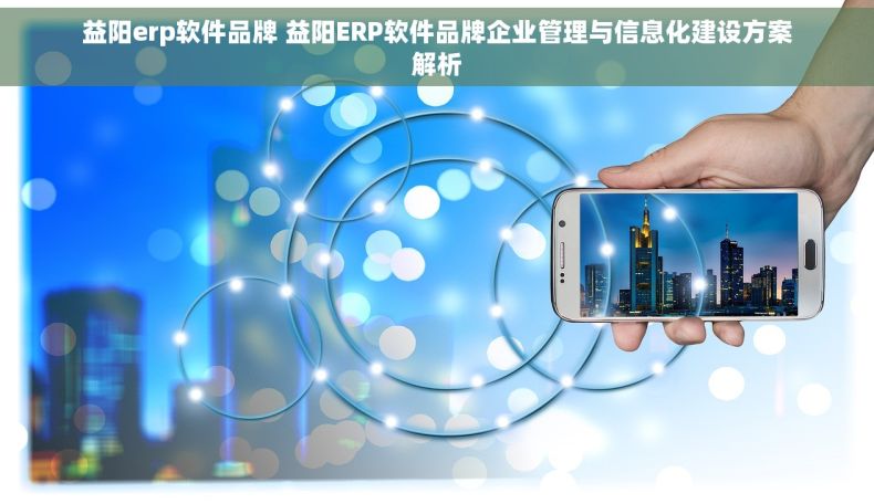 益阳erp软件品牌 益阳ERP软件品牌企业管理与信息化建设方案解析