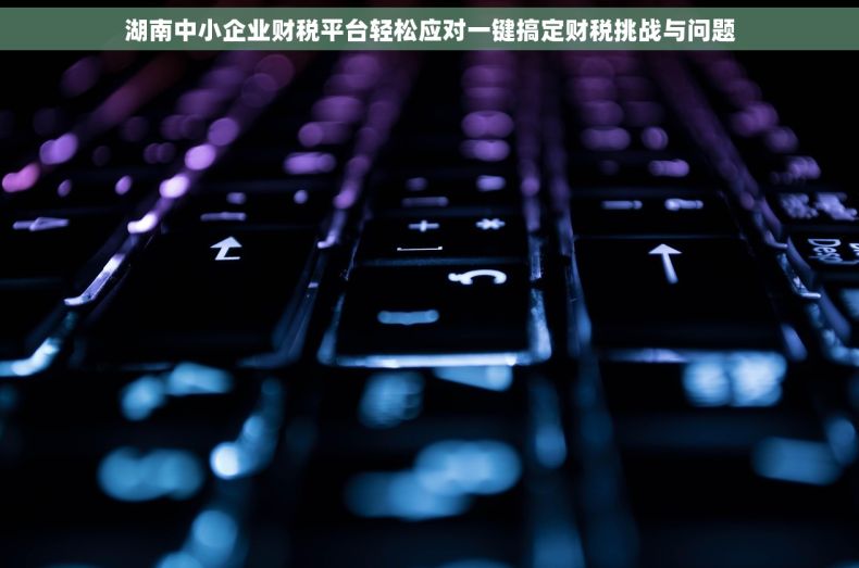 湖南中小企业财税平台轻松应对一键搞定财税挑战与问题