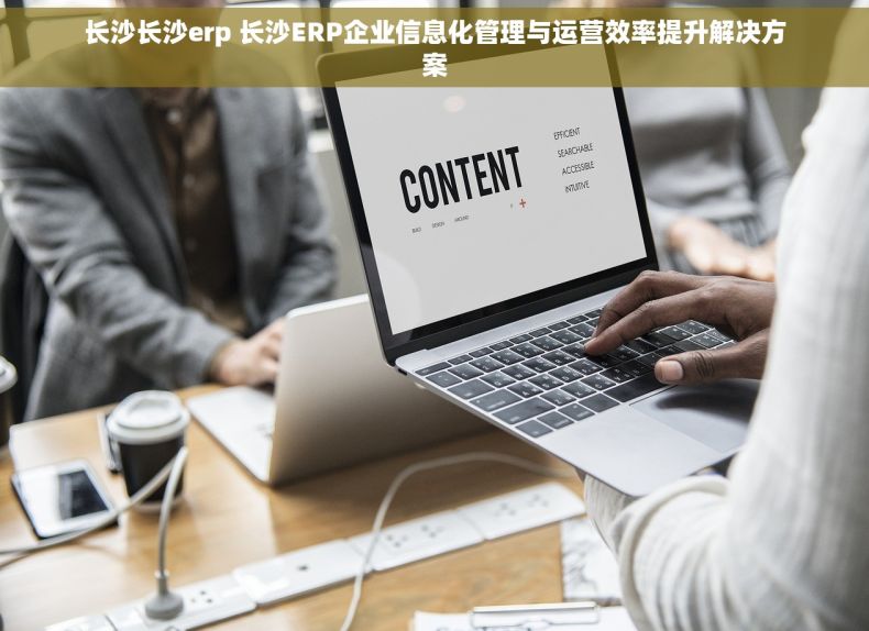 长沙长沙erp 长沙ERP企业信息化管理与运营效率提升解决方案