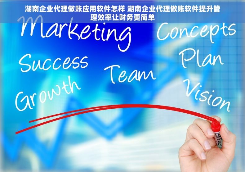 湖南企业代理做账应用软件怎样 湖南企业代理做账软件提升管理效率让财务更简单