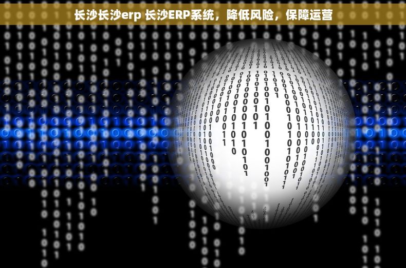长沙长沙erp 长沙ERP系统，降低风险，保障运营