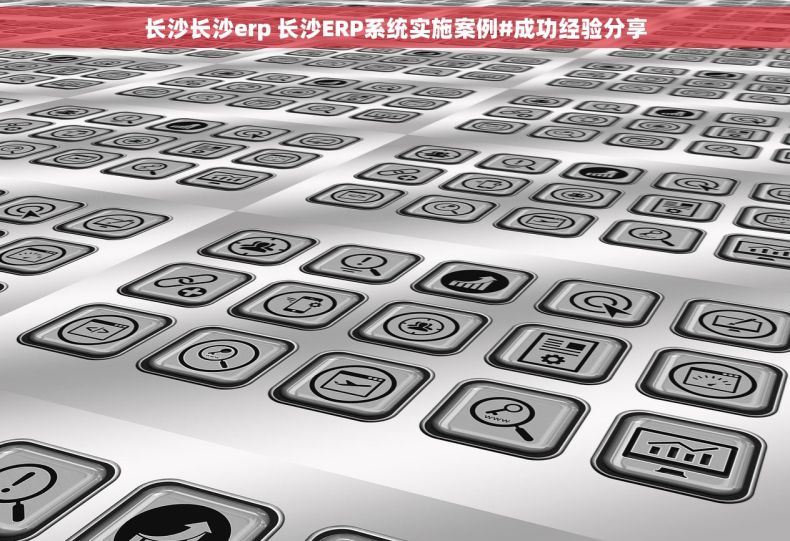 长沙长沙erp 长沙ERP系统实施案例#成功经验分享