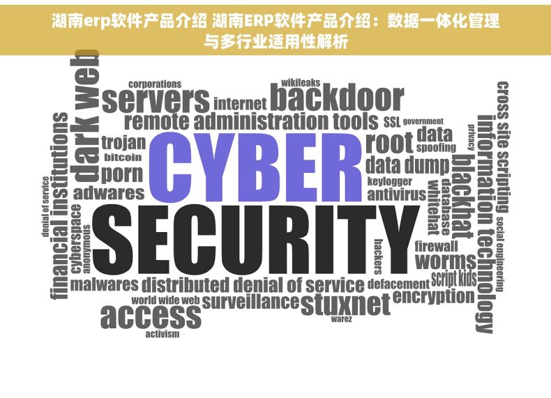湖南erp软件产品介绍 湖南ERP软件产品介绍：数据一体化管理与多行业适用性解析