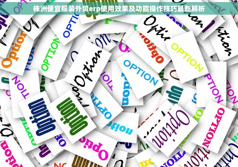 株洲便宜服装外贸erp使用效果及功能操作技巧最新解析