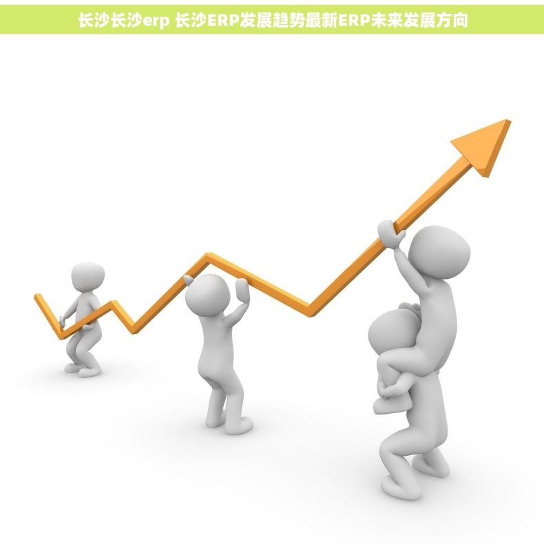 长沙长沙erp 长沙ERP发展趋势最新ERP未来发展方向