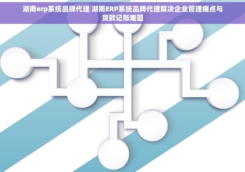 湖南erp系统品牌代理 湖南ERP系统品牌代理解决企业管理痛点与货款记账难题