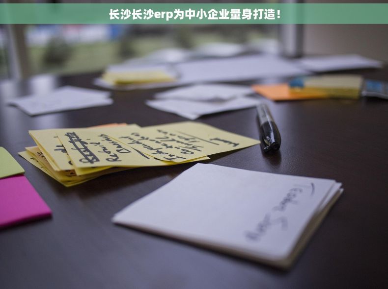 长沙长沙erp为中小企业量身打造！