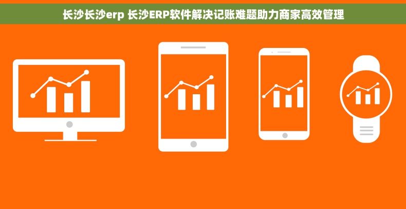 长沙长沙erp 长沙ERP软件解决记账难题助力商家高效管理