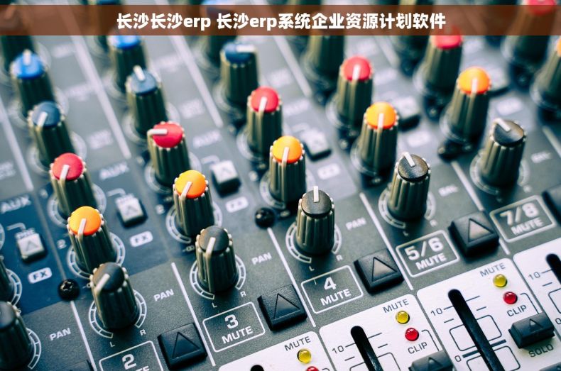 长沙长沙erp 长沙erp系统企业资源计划软件