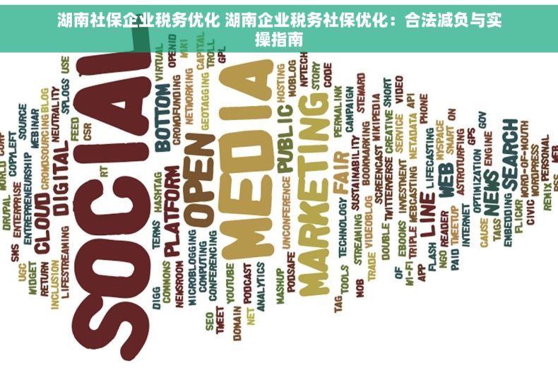 湖南社保企业税务优化 湖南企业税务社保优化：合法减负与实操指南