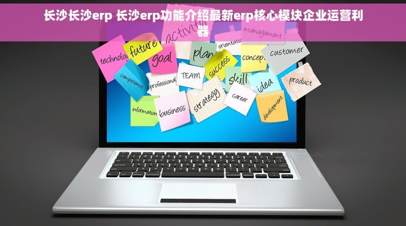 长沙长沙erp 长沙erp功能介绍最新erp核心模块企业运营利器