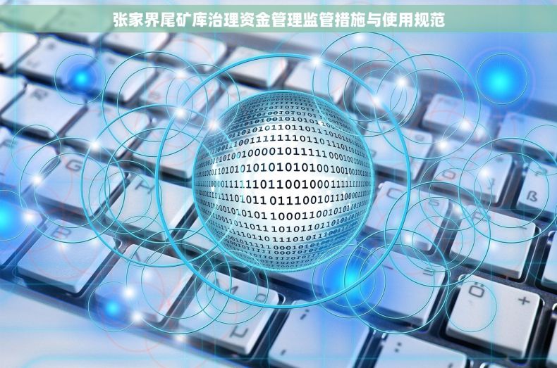 张家界尾矿库治理资金管理监管措施与使用规范