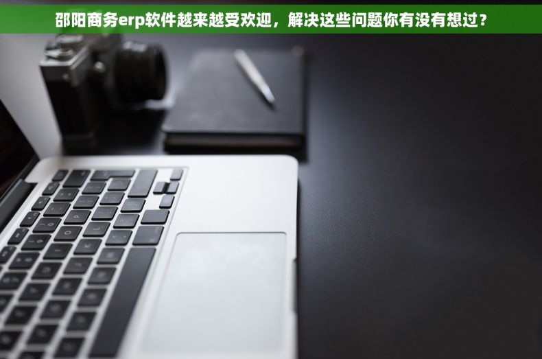 邵阳商务erp软件越来越受欢迎，解决这些问题你有没有想过？