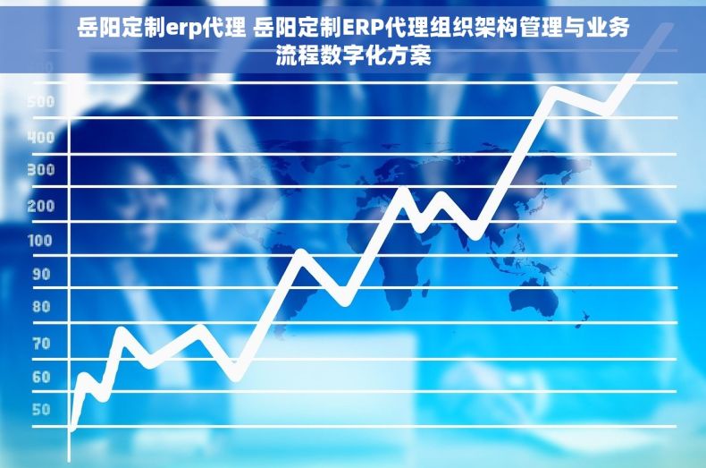 岳阳定制erp代理 岳阳定制ERP代理组织架构管理与业务流程数字化方案