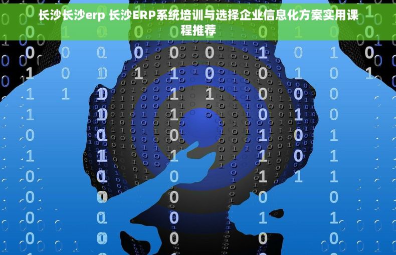 长沙长沙erp 长沙ERP系统培训与选择企业信息化方案实用课程推荐