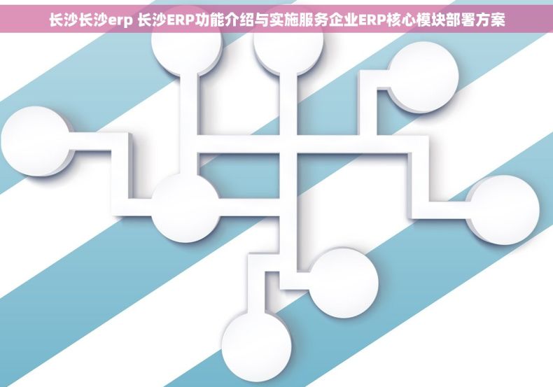 长沙长沙erp 长沙ERP功能介绍与实施服务企业ERP核心模块部署方案