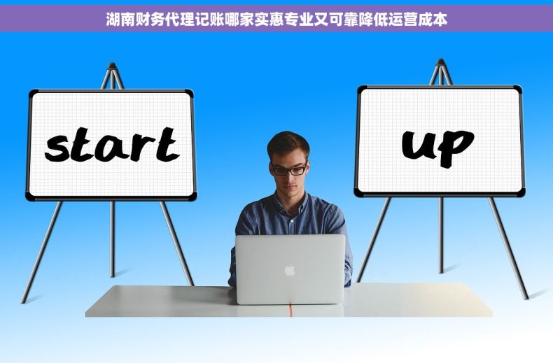 湖南财务代理记账哪家实惠专业又可靠降低运营成本