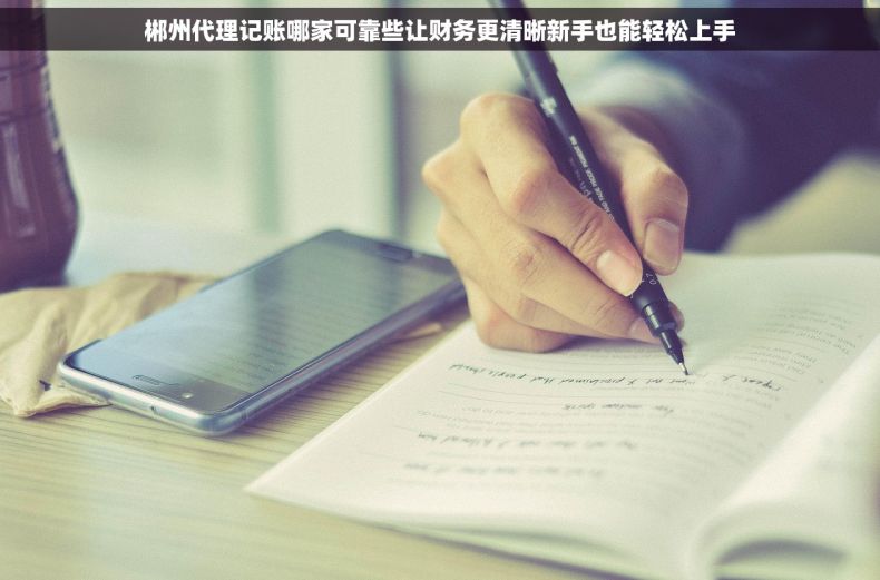 郴州代理记账哪家可靠些让财务更清晰新手也能轻松上手