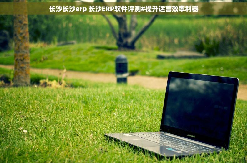 长沙长沙erp 长沙ERP软件评测#提升运营效率利器