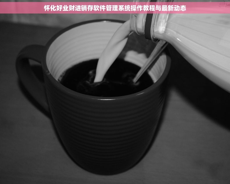 怀化好业财进销存软件管理系统操作教程与最新动态