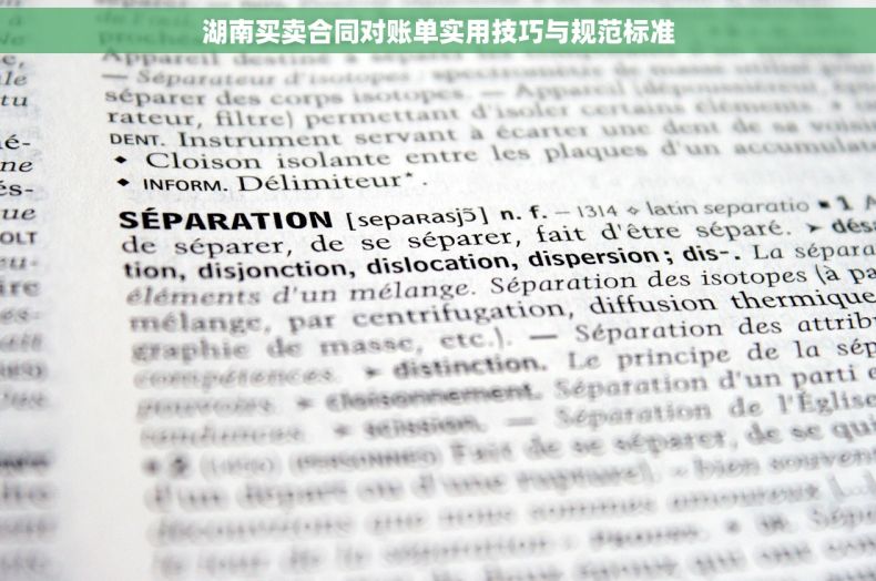 湖南买卖合同对账单实用技巧与规范标准