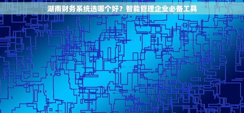 湖南财务系统选哪个好？智能管理企业必备工具