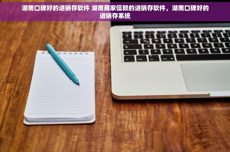 湖南口碑好的进销存软件 湖南商家信赖的进销存软件，湖南口碑好的进销存系统
