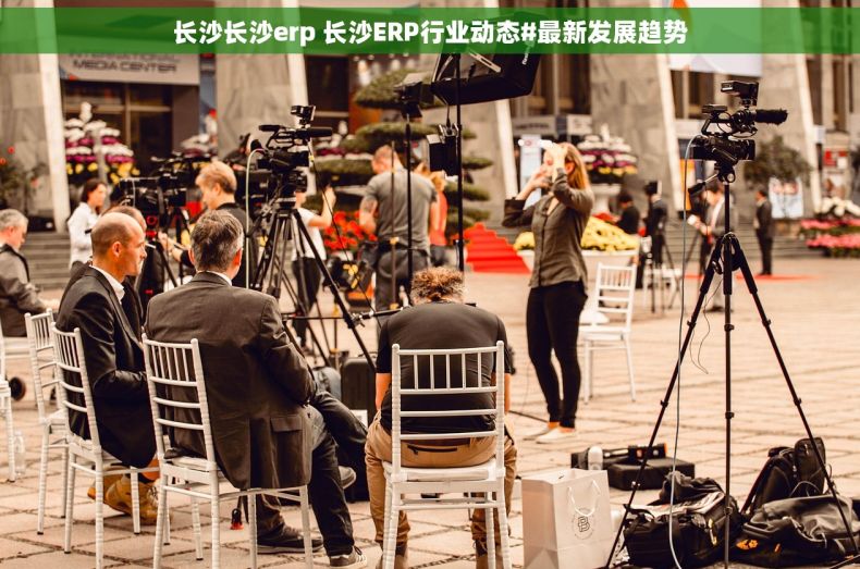 长沙长沙erp 长沙ERP行业动态#最新发展趋势