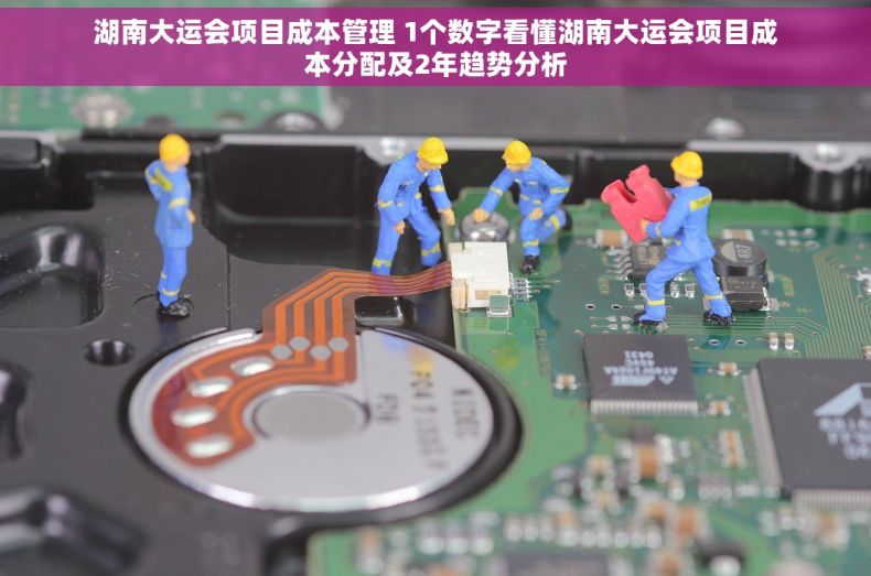 湖南大运会项目成本管理 1个数字看懂湖南大运会项目成本分配及2年趋势分析