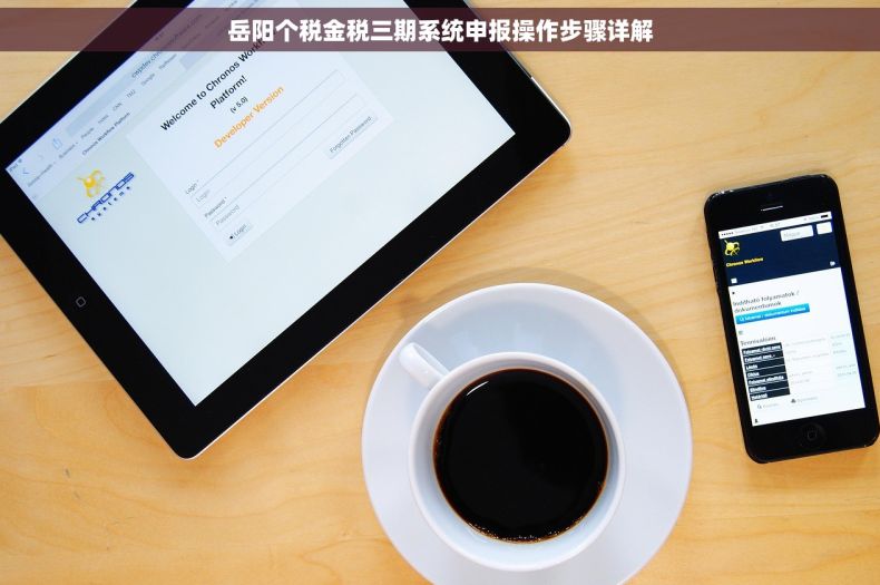 岳阳个税金税三期系统申报操作步骤详解