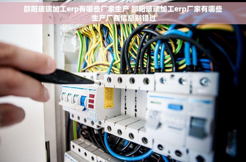 邵阳玻璃加工erp有哪些厂家生产 邵阳玻璃加工erp厂家有哪些 生产厂商信息别错过