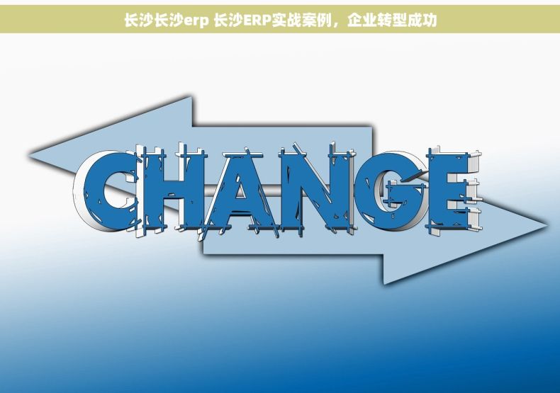 长沙长沙erp 长沙ERP实战案例，企业转型成功