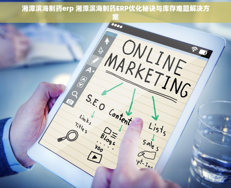 湘潭滨海制药erp 湘潭滨海制药ERP优化秘诀与库存难题解决方案