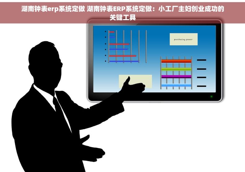 湖南钟表erp系统定做 湖南钟表ERP系统定做：小工厂主妇创业成功的关键工具