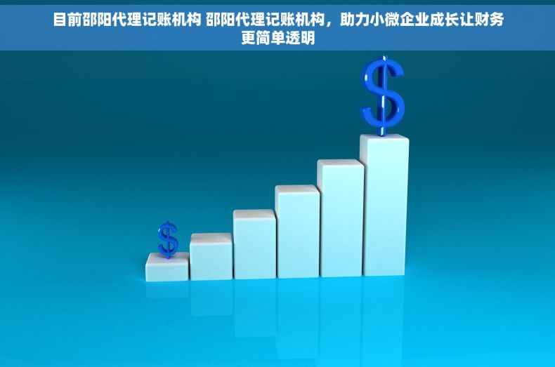 目前邵阳代理记账机构 邵阳代理记账机构，助力小微企业成长让财务更简单透明