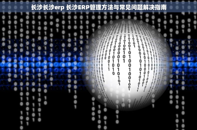 长沙长沙erp 长沙ERP管理方法与常见问题解决指南