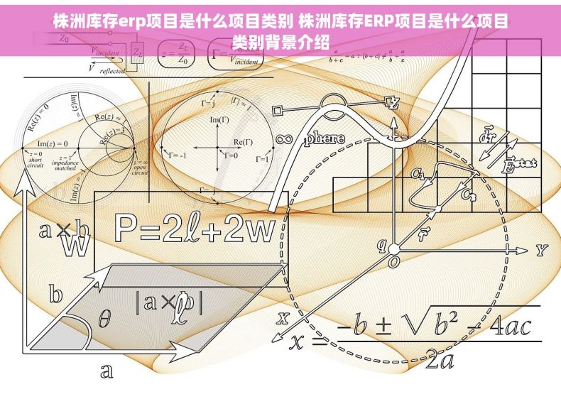 株洲库存erp项目是什么项目类别 株洲库存ERP项目是什么项目类别背景介绍