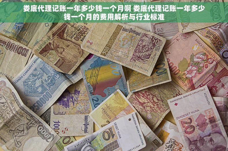 娄底代理记账一年多少钱一个月啊 娄底代理记账一年多少钱一个月的费用解析与行业标准