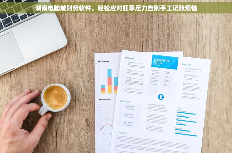 湖南电脑城财务软件，轻松应对旺季压力告别手工记账烦恼