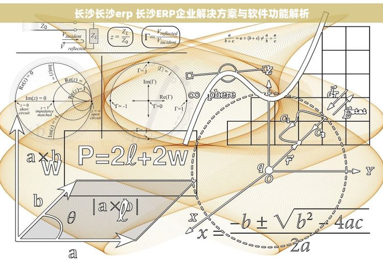 长沙长沙erp 长沙ERP企业解决方案与软件功能解析