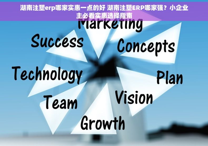 湖南注塑erp哪家实惠一点的好 湖南注塑ERP哪家强？小企业主必看实惠选择指南