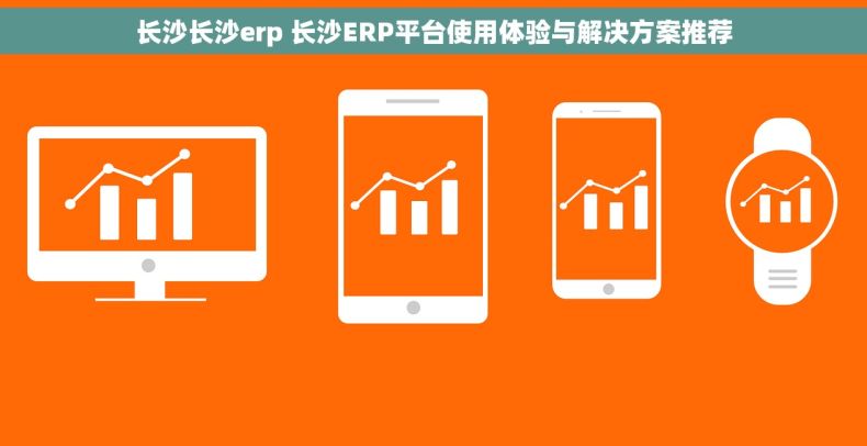 长沙长沙erp 长沙ERP平台使用体验与解决方案推荐