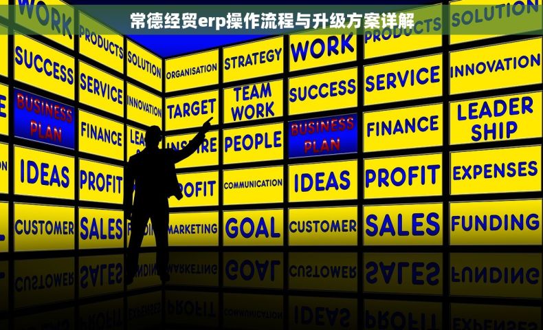 常德经贸erp操作流程与升级方案详解