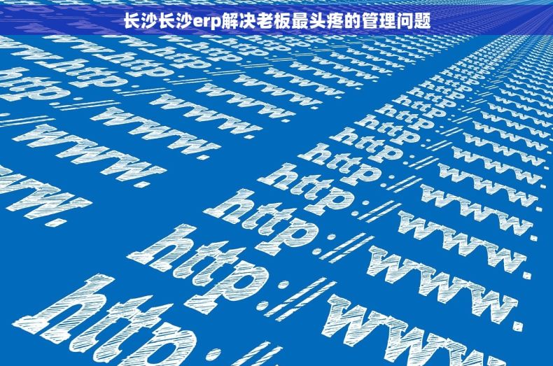 长沙长沙erp解决老板最头疼的管理问题