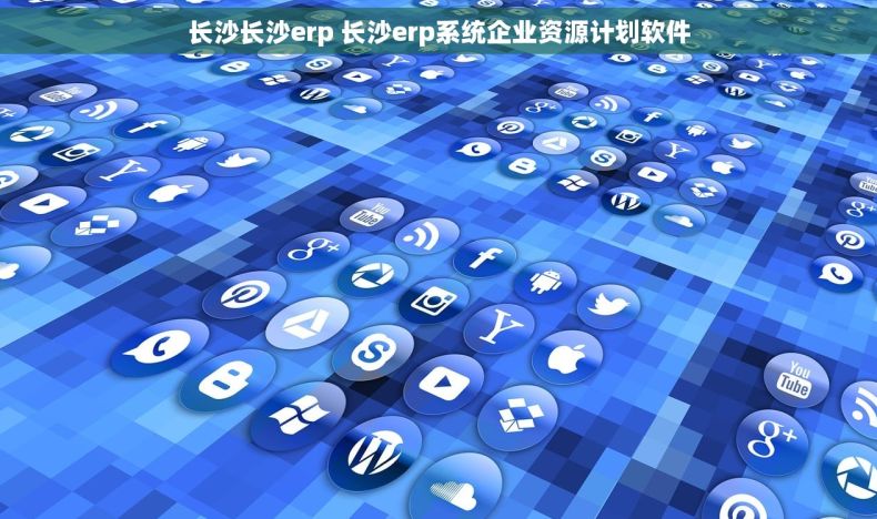 长沙长沙erp 长沙erp系统企业资源计划软件