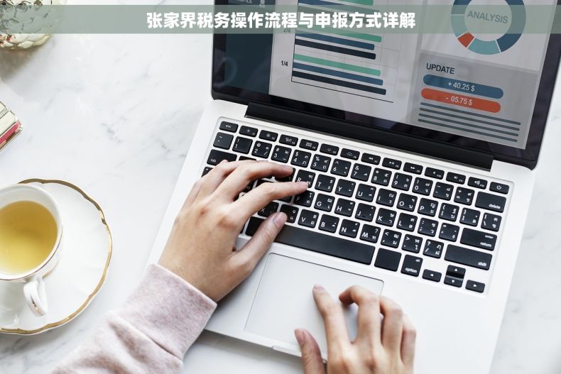 张家界税务操作流程与申报方式详解