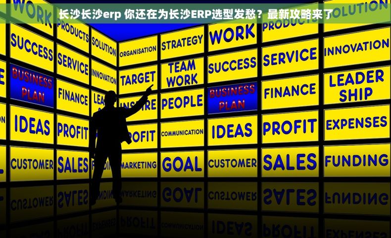 长沙长沙erp 你还在为长沙ERP选型发愁？最新攻略来了